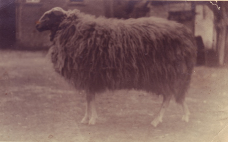 nil